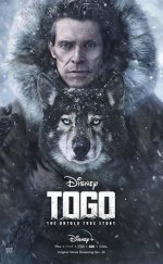 Togo izle