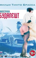 Budapeşte Barı Erotik Film izle