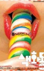 Pornmaking for Dummies izle