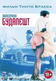 Budapeşte Barı Erotik Film izle